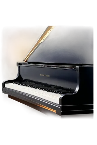 steinway,steinways,bosendorfer,grand piano,boesendorfer,carpianum,bechstein,pianoforte,fortepiano,the piano,piano,simpfendorfer,clavinet,harpsichord,piano keyboard,play piano,pianola,concerto for piano,pianist,disklavier,Photography,Documentary Photography,Documentary Photography 12