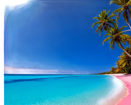 Seaside, pink sandy beach, clear turquoise water, palm trees, sunny day, soft warm light, gentle waves, shallow depth of field, bright vibrant colors, 3/4 composition, low angle shot, panoramic view.,