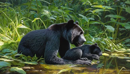 black bears,siamang,giant schnauzer,common chimpanzee,american black bear,gorilla,sun bear,ursa,chimpanzee,celebes crested macaque,oil on canvas,cercopithecus neglectus,oil painting,bonobo,mother with child,mother and child,cub,endangered,monkey with cub,oil painting on canvas,Art,Classical Oil Painting,Classical Oil Painting 10