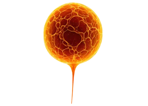 Microscopic germ, spherical shape, translucent membrane, nucleus centered, flagella protruding, slimy texture, darkfield microscopy, high contrast, shallow depth of field, warm color tone, cinematic l