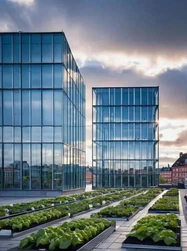 glass facade,glass building,glass facades,autostadt wolfsburg,biotechnology research institute,greenhouses,hafencity,skolkovo,thyssenkrupp,glasshouses,bremerhaven,novozymes,the garden society of gothenburg,aalborg,phototherapeutics,glasshouse,agrosciences,bjarke,botanical square frame,genzyme,Conceptual Art,Sci-Fi,Sci-Fi 19