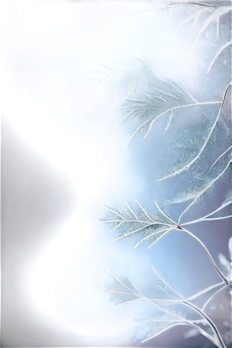 snowflake background,blue snowflake,winter background,ice crystal,hoarfrost,dendrite,ice planet,dendritic,frost,ice rain,frostiness,shibori,blue leaf frame,crystalize,cyanotype,ice landscape,christmas snowy background,white feather,blue spruce,winterization,Photography,Documentary Photography,Documentary Photography 22