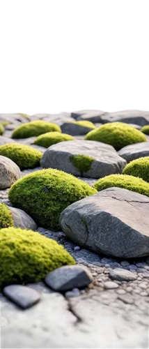 moss landscape,background with stones,mountain stone edge,stone background,glasswort,intertidal,seagrass,beach grass,seamless texture,rocky beach,drystone,block of grass,cobblestone,saltmarsh,seawall,smooth stones,virtual landscape,moss,streambeds,cobblestones,Photography,General,Commercial