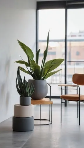 danish furniture,modern decor,anastassiades,steelcase,oticon,vitra,contemporary decor,ikebana,industrial design,house plants,mid century modern,planters,homewares,wooden flower pot,plant pot,hostplant,houseplants,deskjet,calathea,plant pots,Unique,3D,Clay