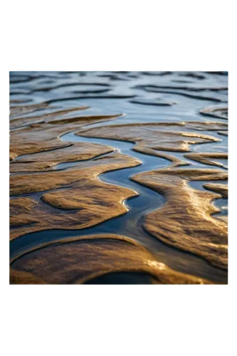 ripples,water surface,water waves,salt evaporation pond,reflection of the surface of the water,surface tension,salt pan,mudflat,water scape,salt pans,whirlpool pattern,waterscape,pool water surface,sand texture,sand waves,braided river,sea lettuce,flowing water,waves circles,ripple,Illustration,Paper based,Paper Based 04