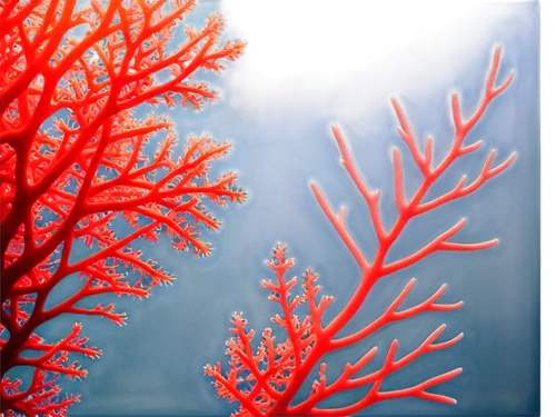 soft coral,deep coral,feather coral,bubblegum coral,soft corals,corals,meadow coral,qin leaf coral,stony coral,coral,hard corals,coral fingers,coral-like,red crinoid,red tree,coral reefs,rock coral,coral fish,desert coral,coral bush,Art,Artistic Painting,Artistic Painting 34