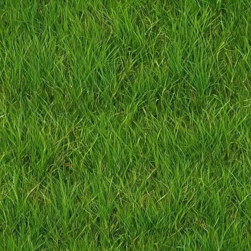 green wallpaper,zoysia,block of grass,grass,green lawn,green grass,grass blades,lawn,gras,golf course grass,grass grasses,paspalum,grassman,grassy,blades of grass,aaaa,grasslike,artificial grass,frog background,aaa,Illustration,Abstract Fantasy,Abstract Fantasy 10