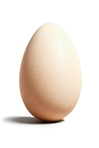 egg,chicken egg,large egg,eggshell,egg shell,organic egg,soy egg,brown egg,bisected egg,hen's egg,boiled egg,goose eggs,bird's egg,chicken eggs,painted eggshell,cracked egg,egg cooked,egg shells,egg shaker,egg shell break,Conceptual Art,Oil color,Oil Color 12