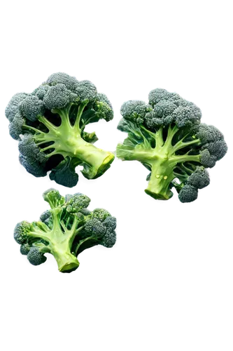 Green broccoli, fresh vegetables, leafy greens, thick stem, florets bursting with health, dew drops on leaves, morning sunlight, shallow depth of field, 3/4 composition, soft natural lighting, vibrant