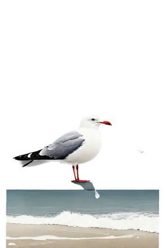 arctic tern,seagull,tern bird,common tern,fairy tern,caspian tern,sea gull,indian sea gull,tern in mist,ring-billed gull,tern,cape gull,silver seagull,royal tern,tropicbird,pacific gull,little tern,coastal bird,kelp gull,black-backed gull,Illustration,Abstract Fantasy,Abstract Fantasy 02