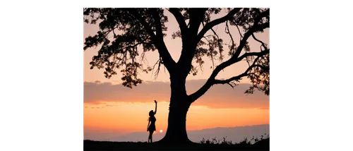 tree silhouette,eucalypts,old tree silhouette,nudgee,eucalypt,redgum,gum trees,lone tree,bundeena,australind,kurnell,isolated tree,barrenjoey,currawong,hakea,shorncliffe,buderim,balgowlah,shoalhaven,moruya,Illustration,Abstract Fantasy,Abstract Fantasy 11