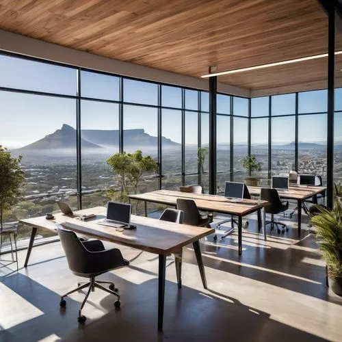 investec,modern office,stellenbosch,capetown,table mountain,interior modern design,rondebosch,hottentots,waterkloof,penthouses,tafelberg,cape town,conference room,steelcase,contemporary decor,luxury home interior,breakfast room,helderberg,board room,table bay,Conceptual Art,Fantasy,Fantasy 03