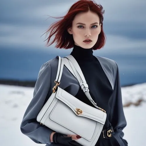 delvaux,hindmarch,minkoff,loewe,clogau,krakoff,celine,allude,ghesquiere,handbag,chorkina,carven,lauckner,skagen,lancel,estonian,suit of the snow maiden,white winter dress,butina,dior,Photography,General,Realistic