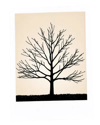 cardstock tree,birch tree illustration,trees with stitching,tree silhouette,old tree silhouette,decorative rubber stamp,brown tree,deciduous tree,birch tree background,bare trees,fir tree silhouette,cool woodblock images,isolated tree,woodblock prints,scratch tree,deciduous trees,bare tree,paper cutting background,tree thoughtless,tree signboard,Photography,Documentary Photography,Documentary Photography 03