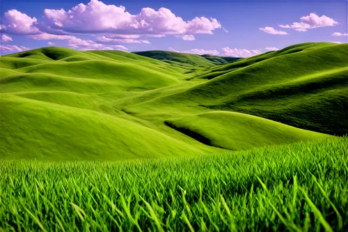 green landscape,grasslands,gras,grassland,grasslike,green fields,green grass,dune landscape,green meadow,landscape background,grass,green wallpaper,grassy,rolling hills,plains,nature background,virtual landscape,green background,salt meadow landscape,green valley,Conceptual Art,Graffiti Art,Graffiti Art 05