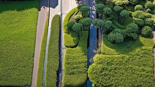 1. glass building on left
2. shrubs on mounds, vegetation
3. forest theme
4. water body with green spaces
5. pathways,dji agriculture,tree lined lane,aerial landscape,drone image,hedge,tree-lined aven