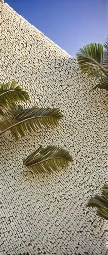 wall texture,palm pasture,stucco wall,palmitic,sand seamless,palmtrees,palm fronds,palmtree,palm leaves,terrazzo,sand texture,roof landscape,palm garden,ediacaran,palm forest,tropical leaf pattern,arecaceae,exterior decoration,background texture,palm trees,Illustration,Abstract Fantasy,Abstract Fantasy 20