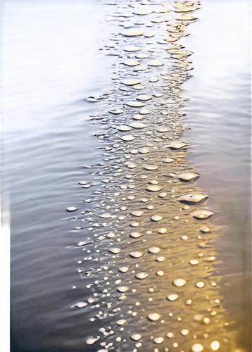 water surface,reflection of the surface of the water,ripples,droplets of water,reflections in water,rainwater drops,water droplets,waterdrops,surface tension,reflection in water,air bubbles,water drops,feather on water,on the water surface,water reflection,waterscape,ripple,drops of water,water pollution,water scape,Photography,Fashion Photography,Fashion Photography 14