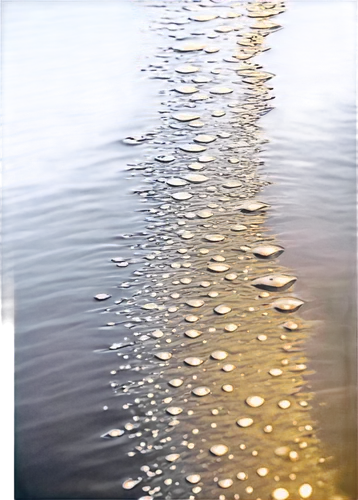 Transparent water droplets, rippling surface, shimmering highlights, realistic refraction, detailed waves, oceanic atmosphere, misty surroundings, soft focus, dreamy lighting, 3/4 composition, cinemat