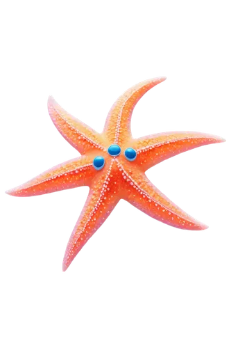 astropecten,sea star,starfish,starfishes,star anemone,sunstar,sunburst background,star flower,nautical star,echinoderm,star abstract,star polygon,colorful star scatters,cinema 4d,wavevector,christ star,stellated,bascetta star,garrisoned,sea urchin,Illustration,Black and White,Black and White 22