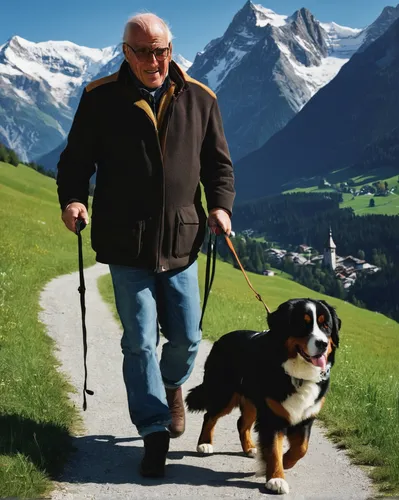 appenzeller sennenhund,bernese oberland,schweizer laufhund,grindelwald,bernese mountain dog,pyrenean shepherd,lake lucerne region,nordic walking,to staufen,canton of glarus,schäfer dog,eggishorn,bern,alpstein,appenzell,rigi kaltbad,watzmannfrau,alpine dachsbracke,large münsterländer,st bernard outdoor,Photography,Documentary Photography,Documentary Photography 06