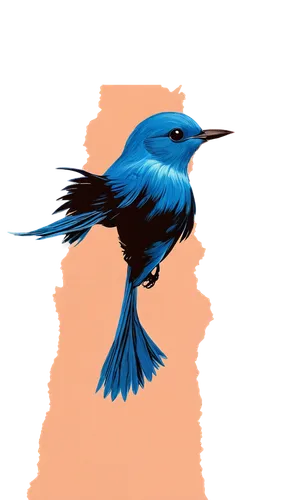 bird png,bird in flight,bird flying,blue bird,fairywren,3d crow,blue wren,western bluebird,superb fairywren,fast bird,bluebird,screaming bird,flycatcher,tickell's blue flycatcher,bird fly,river kingfisher,bird flight,male bluebird,quickbird,bird,Illustration,Paper based,Paper Based 20