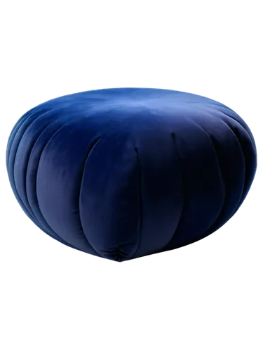 mitochondrion,mitochondrial,blue pillow,otolith,ellipsoid,mitochondria,beanbag,velella,ostracod,ellipsoids,platyhelminthes,beanbags,eukaryote,ectoparasite,gel capsule,polypill,cocoons,deuterostomes,cocoon,bosu,Conceptual Art,Daily,Daily 33