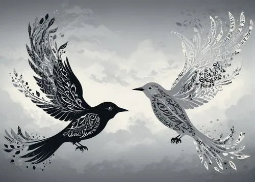 two beautiful birds flying, black and grey ,doves of peace,starlings,songbirds,doves and pigeons,pigeons and doves,flying birds,blackbirds,birds in flight,two pigeons,doves,bird couple,dove of peace,b