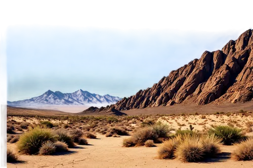 desert desert landscape,desert landscape,the atacama desert,mojave desert,arid landscape,argentina desert,teide national park,desert background,timna park,atacama desert,mojave,gobi desert,namib desert,spitzkoppe,namib,the gobi desert,capture desert,stone desert,atacama,joshua tree national park,Art,Artistic Painting,Artistic Painting 38