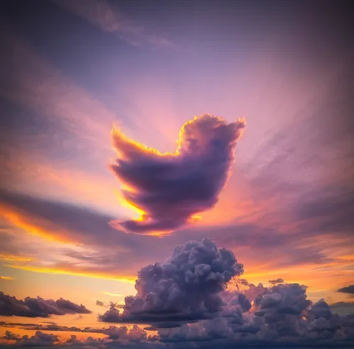 cloud formation,cloud shape,cloud image,cumulus nimbus,rainbow clouds,cloud mushroom,cloudscape,single cloud,cumulus cloud,epic sky,swelling clouds,cloud shape frame,bird in the sky,swirl clouds,cloud play,chinese clouds,sky clouds,cloudporn,sky,dramatic sky,Light and shadow,Landscape,Sky 2