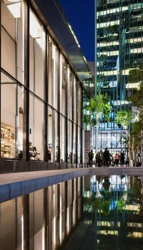 marunouchi,difc,abdali,nihonbashi,costanera center,vdara,rivercenter,benaroya,glass building,broadgate,omotesando,waterplace,citycenter,biopolis,potsdamer platz,wintergarden,taikoo,glass facades,luminato,apple store,Illustration,American Style,American Style 04