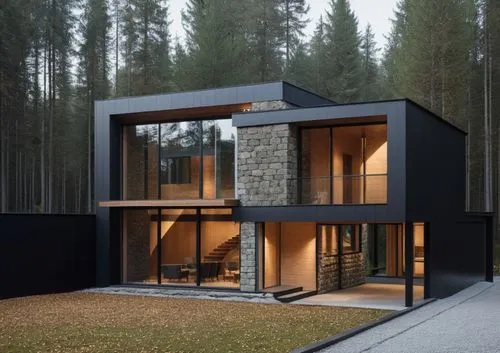 trees on background, black paint facade, wood and stone facade,cubic house,modern house,house in the forest,forest house,inverted cottage,kundig,prefab,arkitekter,timber house,frame house,modern archi