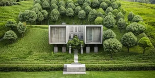 green garden, realistic, architectural,mirror house,cube house,green garden,grass roof,kangkong,inverted cottage,chinese architecture,green landscape,terraced,garden elevation,green living,tea plantat