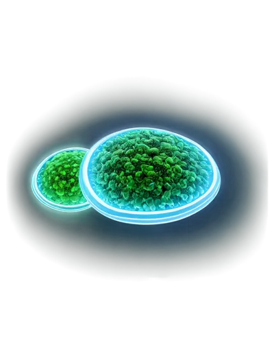 Microscopic germs, petri dish, laboratory setting, high contrast, brightfield illumination, detailed textures, spherical shape, transparent background, 3D rendering, realistic style, high magnificatio