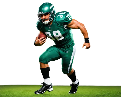 celek,demeco,sproles,desean,gastineau,rynearson,mcnabb,asomugha,sparano,ndamukong,maclin,green and white,wentz,football player,urschel,namath,steagles,nyj,dressler,legarrette,Art,Classical Oil Painting,Classical Oil Painting 21