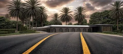 fordlandia,asphalt road,palm forest,salalah,road,carretera,highway,roadway,alligator alley,roadside,highways,vanishing point,city highway,the road,racing road,road to nowhere,palm pasture,underground garage,fuvahmulah,underpass