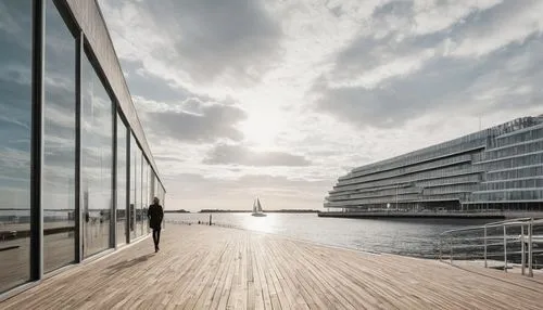 bjarke,hotel barcelona city and coast,penthouses,mipim,snohetta,fincantieri,elbphilharmonie,westerdam,aarhus,hafencity,noordam,glass facade,waterfronts,associati,leaseback,lovemark,hotel w barcelona,harpa,gdynia,resthaven,Illustration,Black and White,Black and White 32