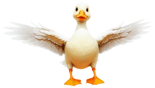 cayuga duck,gooseander,duck,bird png,duck bird,brahminy duck,shelduck,the duck,canard,fowl,dodo,goose,ornamental duck,easter goose,female duck,cockerel,honk,galliformes,platycercus,pato,Illustration,Japanese style,Japanese Style 06