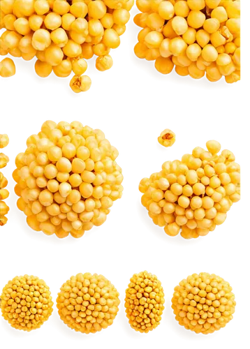 corn kernels,chickpea,soybean,kernels,mustard seeds,bee eggs,legume,maize,lentils,yellow raspberries,corn,hippophae,legume family,soybean oil,mung bean,cowpea,stud yellow,corn salad,cob,dal,Art,Classical Oil Painting,Classical Oil Painting 31