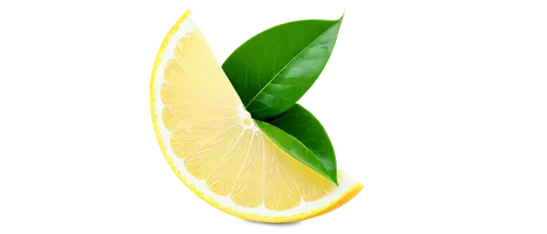 lemon background,lemon wallpaper,slice of lemon,lemon,half slice of lemon,sliced lime,lemon - fruit,citron,lemon tree,limeade,lemon half,limonene,lime slices,lime,citrus,lemon slice,lemon juice,limes,green oranges,limon,Illustration,Retro,Retro 20