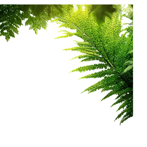 green wallpaper,verdant,ferns,fern plant,nature background,green background,green forest,fern leaf,green leaves,leaf fern,aaaa,fir green,green,wakefern,greenness,forest plant,pteris,leaf green,greenery,green landscape,Photography,Artistic Photography,Artistic Photography 02