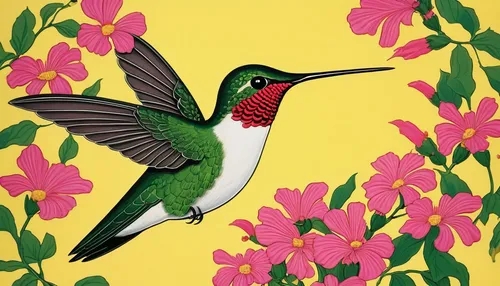 ruby-throated hummingbird,flower and bird illustration,annas hummingbird,cuba-hummingbird,bird hummingbird,calliope hummingbird,ruby throated hummingbird,rufus hummingbird,hummingbird,allens hummingbird,rofous hummingbird,black-chinned hummingbird,hummingbirds,humming bird,cuban tody,humming birds,tropical bird climber,bee hummingbird,humming bird pair,sunbird,Illustration,Retro,Retro 26