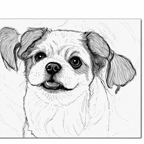 dog line art,dog drawing,shih tzu,dog illustration,shih poo,pekinese,dog frame,brachycephalic,shih,pet portrait,wippleman,cavalier king charles spaniel,huichon,line art animal,jowls,small dog,yorkie,ruffelle,doogie,doeg,Design Sketch,Design Sketch,Black and white Comic