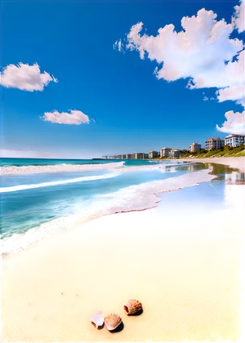 Myrtle Beach ocean, serene morning scene, calm turquoise water, gentle waves, soft sandy beach, seashells scattered, sunny weather, clear blue sky, few puffy white clouds, low-angle shot, wide-angle l