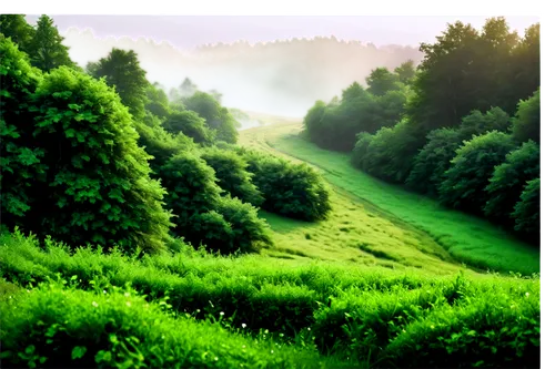 green landscape,green forest,landscape background,nature background,green meadow,background view nature,verdant,mountain slope,coniferous forest,forest landscape,greenery,forest background,nature landscape,green wallpaper,cartoon video game background,3d background,hillside,rolling hills,greenness,green valley,Illustration,Abstract Fantasy,Abstract Fantasy 01