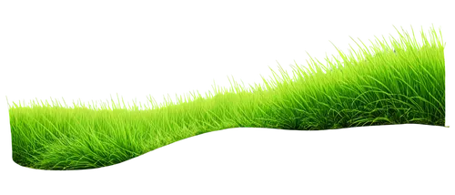 moss landscape,grassy,block of grass,grass,cordgrass,grasslike,green grass,gras,blade of grass,green wallpaper,wheatgrass,green landscape,grass grasses,aaaa,long grass,green lawn,grass fronds,wheat grass,grass golf ball,brick grass,Conceptual Art,Sci-Fi,Sci-Fi 21