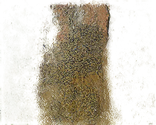 brown mold,acleris,bioturbation,agonopterix,biofouling,rusty door,stigmella,soricomorpha,sackcloth textured background,puccinia,mold,anthracnose,cercospora,xanthomonas,trichoderma,amphibole,propolis,pediculosis,keratoderma,fusarium,Photography,Fashion Photography,Fashion Photography 09