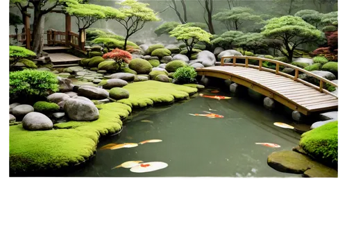 koi pond,japanese garden,japan garden,fishpond,japanese garden ornament,garden pond,japanese zen garden,zen garden,lily pond,shaoming,beautiful japan,japon,lotus pond,hyang garden,japan landscape,pond,sake gardens,ornamental fish,teahouse,qingcheng,Illustration,American Style,American Style 07