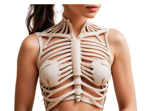 rib cage,ribcage,human body anatomy,articulated manikin,skeletal structure,human anatomy,muscular system,human skeleton,rmuscles,the human body,human body,anatomical,anatomy,wood skeleton,human internal organ,connective back,bone-in rib,connective tissue,medical illustration,bodice,Illustration,Paper based,Paper Based 16