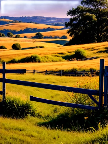 pasture fence,yellow grass,grasslands,prairies,grassland,wheatfield,ranchland,wheatfields,hayfields,fenceline,farmland,orangefield,hayfield,straw field,bluestem,paddocks,fruitlands,fence posts,grassfields,longlands,Conceptual Art,Daily,Daily 33